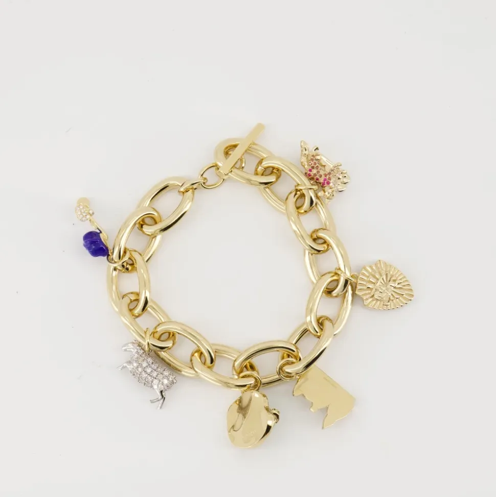 Bracciale Charm Link in Oro