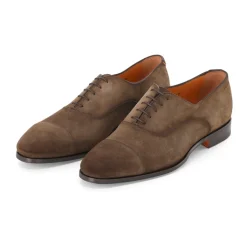 Business Shoe