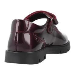 Dress Shoes