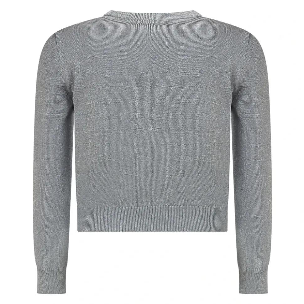 Embroidered Logo Metallic Sweater