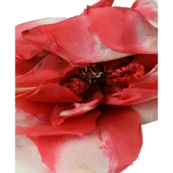 Fiori Applicazione Seta Donna Fascia