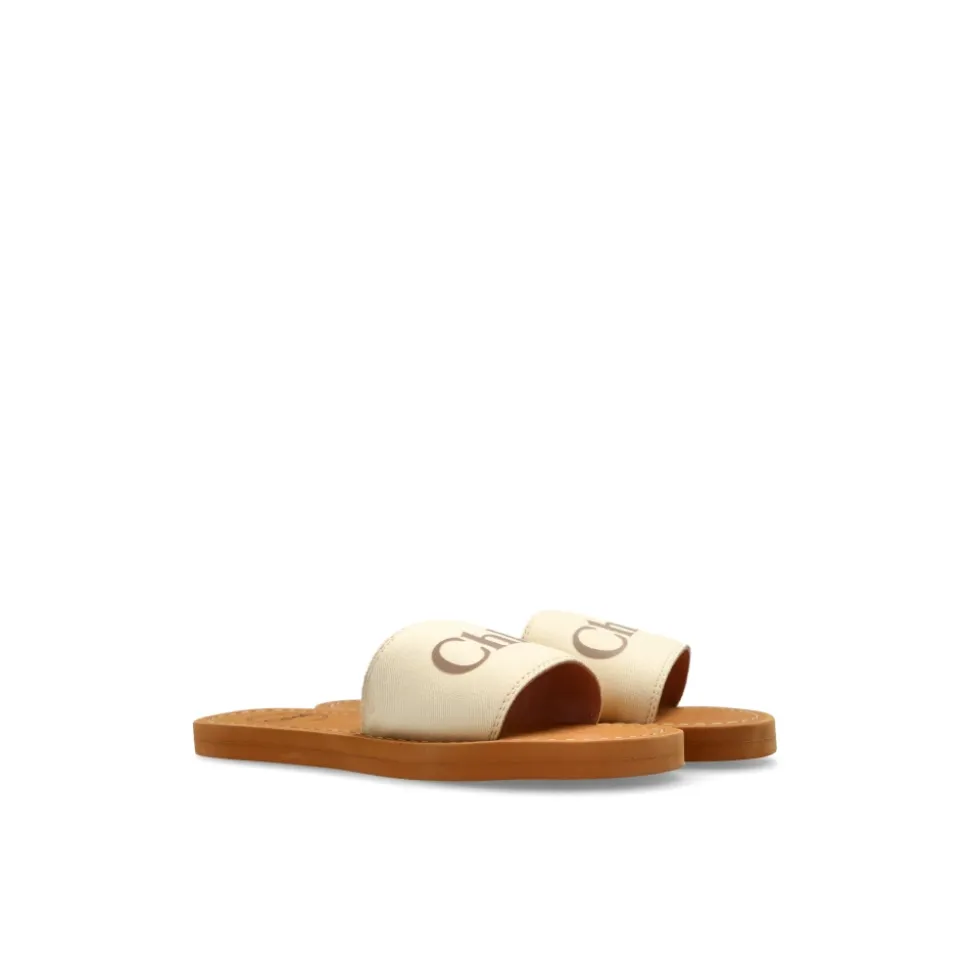 Logo Slides