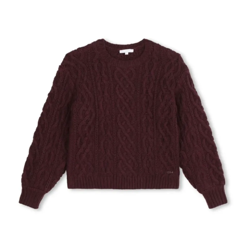 Maglione Bordeaux Pull