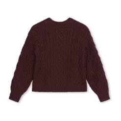 Maglione Bordeaux Pull