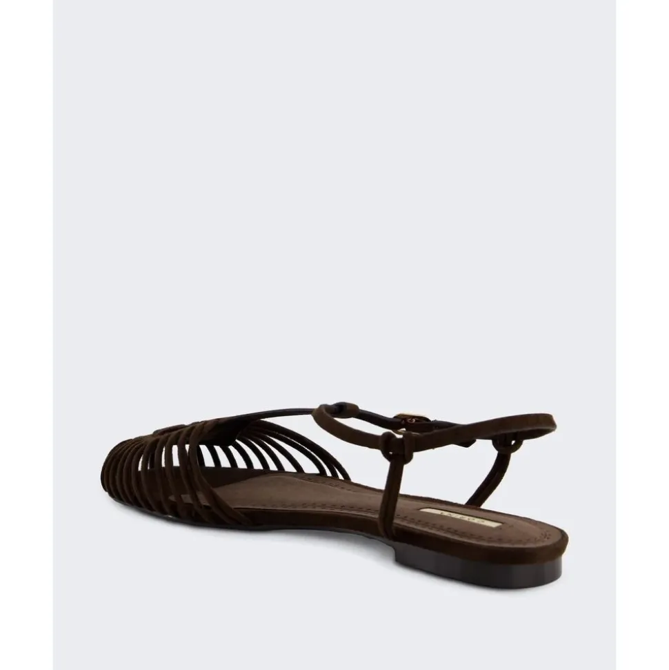 M6396 Ballerina