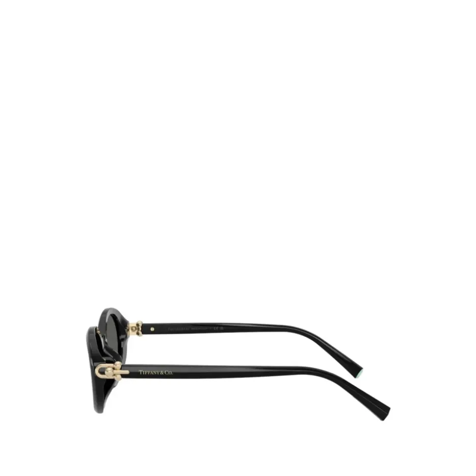 Oval Sunglasses