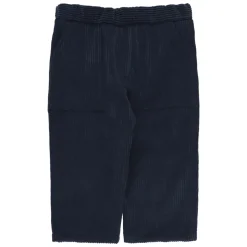 Pantaloni Blu in Velluto a Coste per Bambino