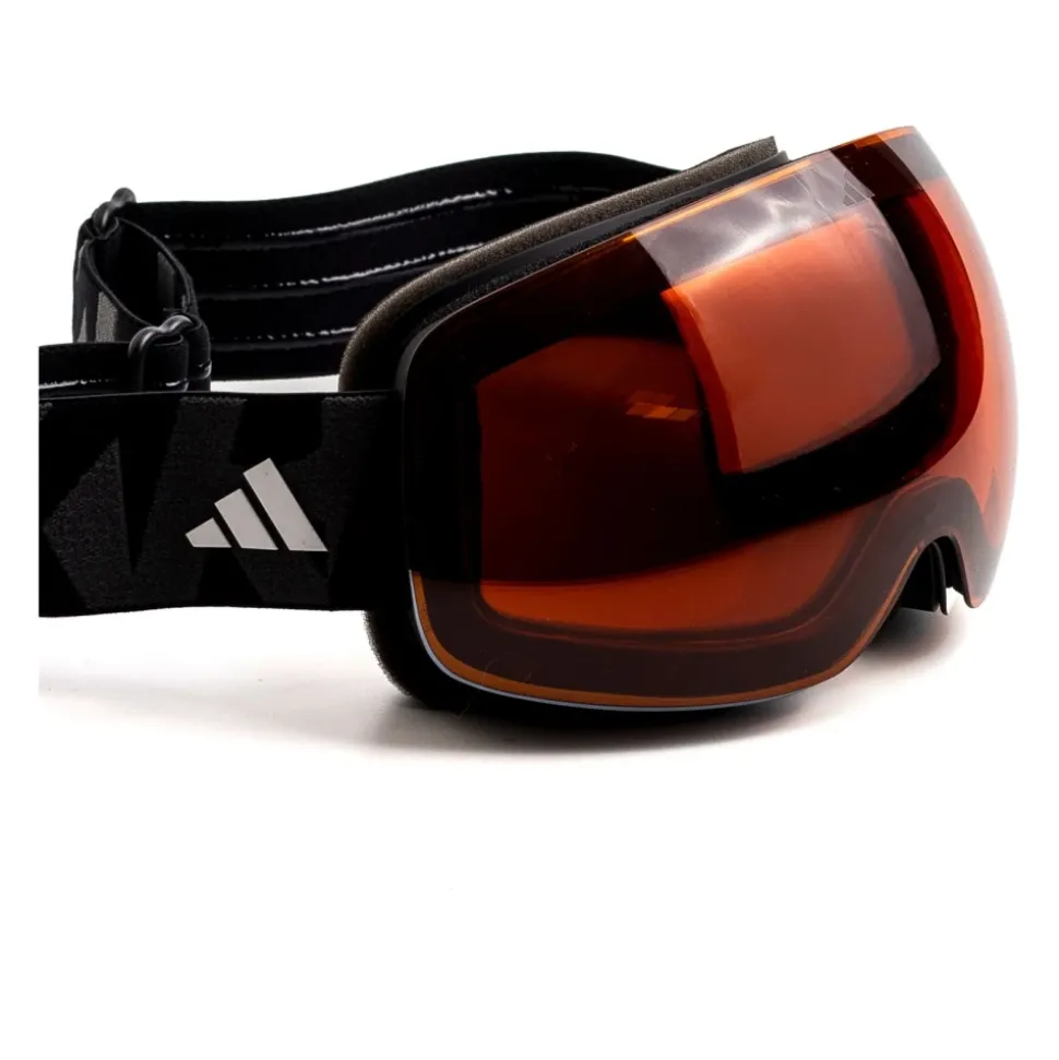 Ski Goggles