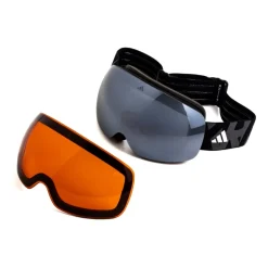 Ski Goggles