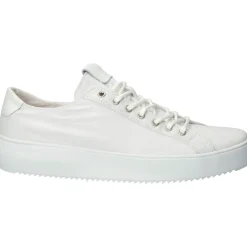 Sneaker Basse in Tela Bianca