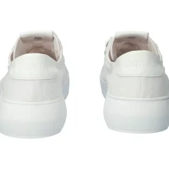 Sneaker Basse in Tela Bianca