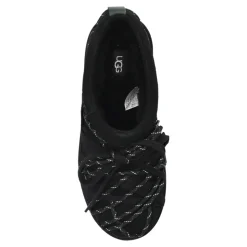 Tasman Lace