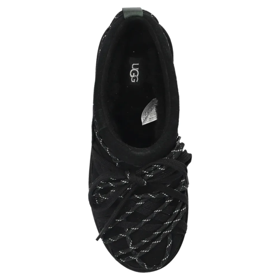 Tasman Lace