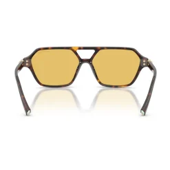 TF4264U Sunglasses