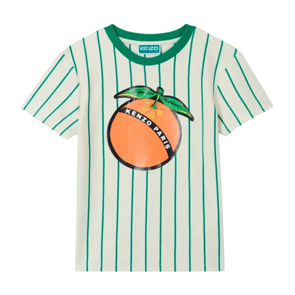 T-Shirt a Righe in Cotone