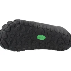 WILL II